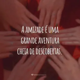 Novas Amizades 💙