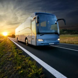 🚌PASSAGEM DE ONIBUS 50%