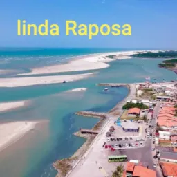 🇱🇷Notícias 🇧🇷online RAPOSA🦊
