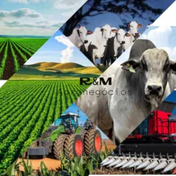 🌱 🚜AGRONEGÓCIOS🐂🐄🌱