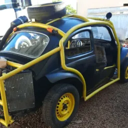 Gambiras de Paranatinga!