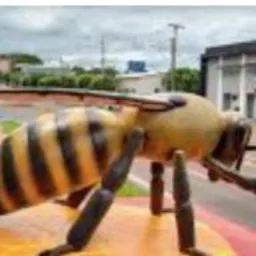 Mandaguaçu livre 💚