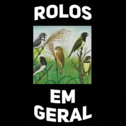 🤛🏾😎Rolos em Geral😎🤜🏾