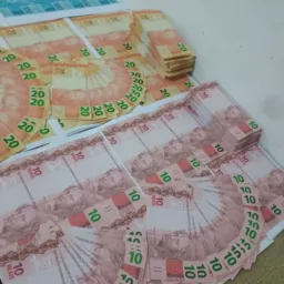 Notas Nf 💸