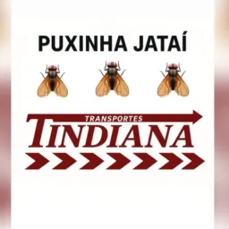 PUXINHAS INDIANA JATAI MOSQUITO