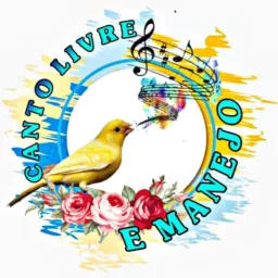 🐤Canto livre e Manejo🐣cps