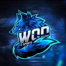 WOD E-SPORTS RECRUTAMENTO