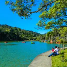 AGP Compra, Venda e Serviços Jaraguá do Sul e Região 🤝