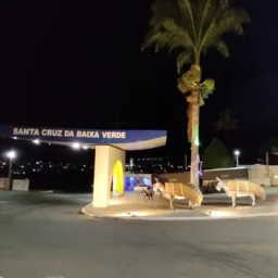 Santa Cruz da Baixa Verde Compra e Vendas