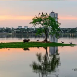 Empregos Área Central de Três Lagoas- MS