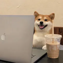 Criação de conteúdo 𝚿