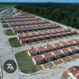 Imburi ordinário 24 horas