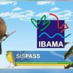 SISPASS RGs De MG