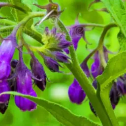 RECEITAS VERDES, HOLÍSTICAS E SAUDÁVEIS 🙏 💚🌿🌱☘️🍀🌵🌳🌴