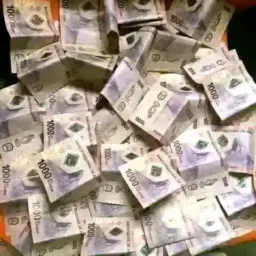 Projeto milhões 💵