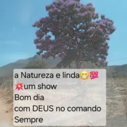 VALE DO PARANÂ,Sao João dalianca e Santa Maria, compra e venda gado etc.informacoes da região