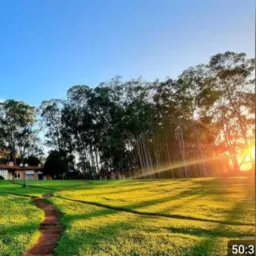 TUDO QUE SE PRECISA EM UMA FAZENDA compra e venda