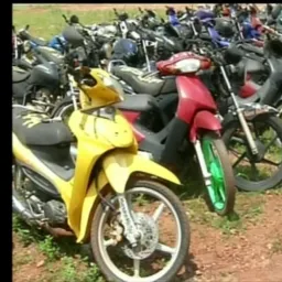Grup de Gambira xinguar 1