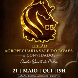 2 - LEILÃO AGROPECUÁRIA VALE DO JAVAÉS & CONVIDADOS