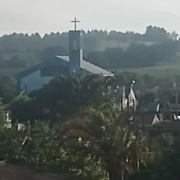 Brick de pássaros e bichos da Vila Elza( RS Viamão )