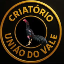 CRIATÓRIO UNIÃO DO VALE e RAIMUNDO DA RAÇÃO🐓🍀🏆