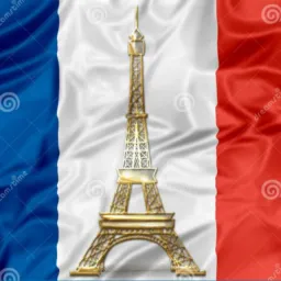 🌻8 França job