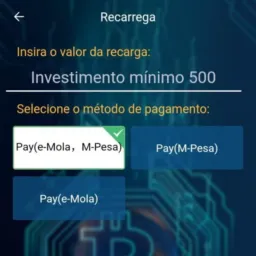 Maior Investimento