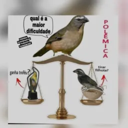 🇸🇲Certo MS e o Rolo🇸🇲