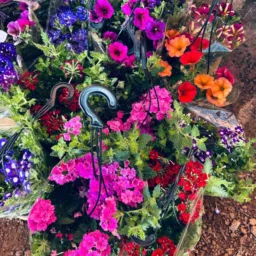 KAYRA FLORICULTURA 🌹💐🪴🪻🌻