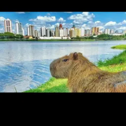 Clicou Chegou⚡⚡ Compra & Venda 😃 Rio Preto e Região