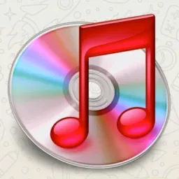🇧🇷SÓ VÍDEOS CLIPS MUSICAIS 🎼🎸🎧🎻
