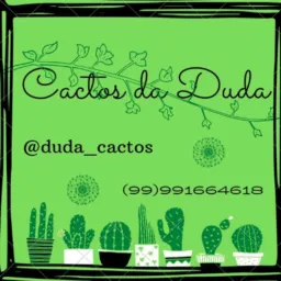 Cactos da Duda 💚🌵