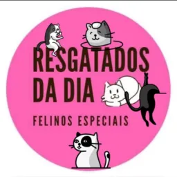 BAZAR RESGATADOS DIA