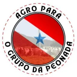 AgroPará ofc
