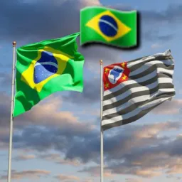 SÃO PAULO & BRASIL TODOS OS DD COMPRA&VENDA