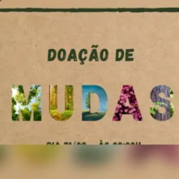Doação, troca mudas de plantas🪴