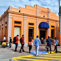 MERCADO LIVRE PARINTINS 3