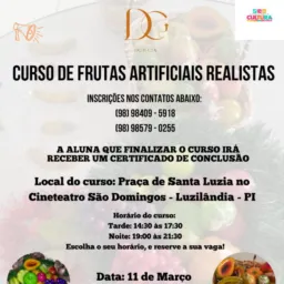 Curso de Frutas Realistas - Luzilândia PI