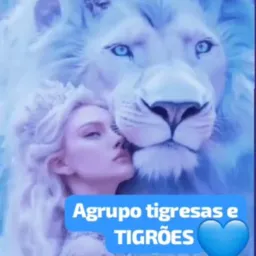 🐆🐅 GRUPO DOS TIGRÕES E DAS TIGRESAS MÚSICAS VIDEOS FRASES FIGURINHAS CARTÕES E BATE PAPOS 🐆🐅