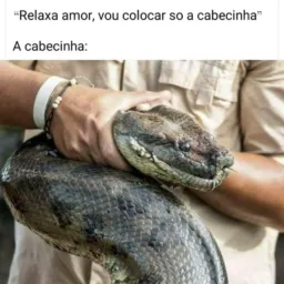 Amizades sem Fronteiras