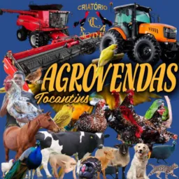 👨🏽‍🌾 AGROVENDAS 👩🏽‍🌾