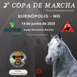 2° COPA DE MARCHA DE BUENOPOLIS MG
