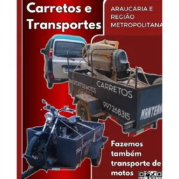 Negócios araucaria