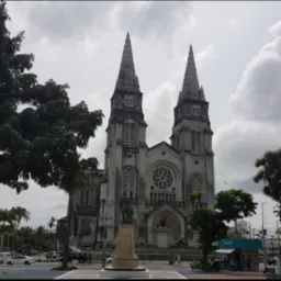 Guariba compra e venda