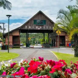 Classificados de Joinville do bairro morro do meio