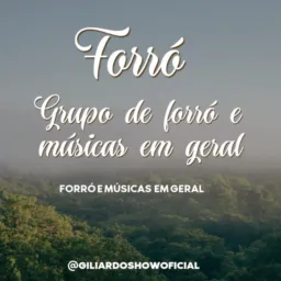 Forró e Músicas em Geral