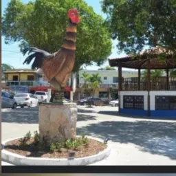 🐓 "CANTAGALO VENDAS, INFORMAÇÕES E DIVULGAÇÕES."