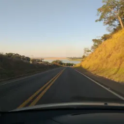 Carona compartilhada