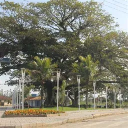 Vendas Guamiranga