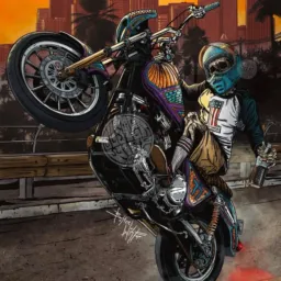 LIDER MOTOBOYS